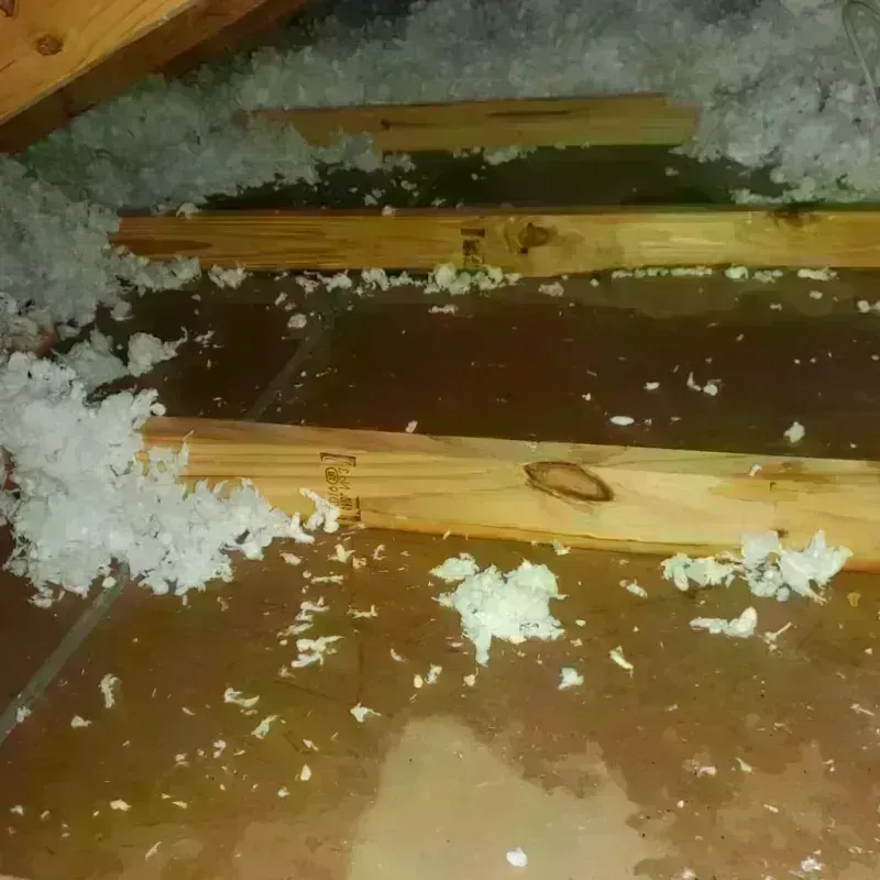 Attic Water Damage in Texas County, OK