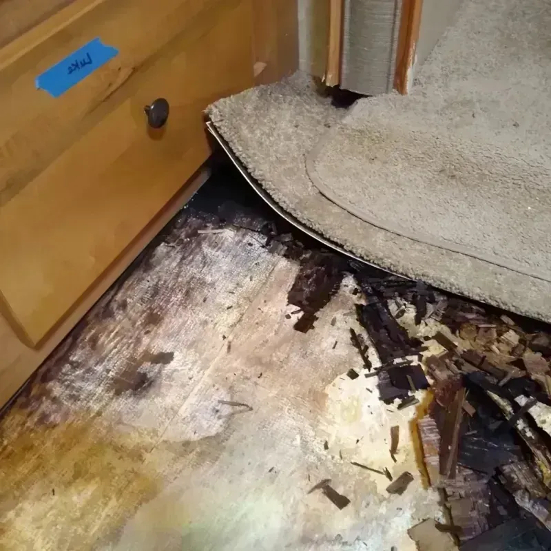 Best Wood Floor Water Damage Service in Texas County, OK